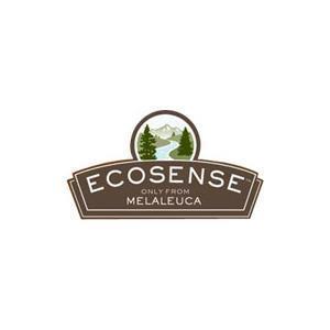 logo ecosense